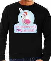Flamingo kerstbal sweater kerst verkleedkleding i am dreaming of a pink christmas zwart voor heren