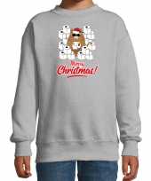 Foute kerstsweater verkleedkleding met hamsterende kat merry christmas grijs voor kinderen