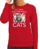Kitten kerst sweater verkleedkleding all i want for christmas is cats rood voor dames