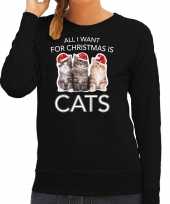Kitten kerst sweater verkleedkleding all i want for christmas is cats zwart voor dames