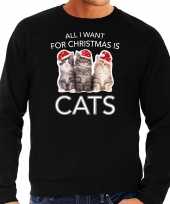 Kitten kerst sweater verkleedkleding all i want for christmas is cats zwart voor heren