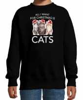 Kitten kerst sweater verkleedkleding all i want for christmas is cats zwart voor kinderen