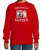 Kitten kerst sweater verkleedkleding christmas cuties rood voor kinderen